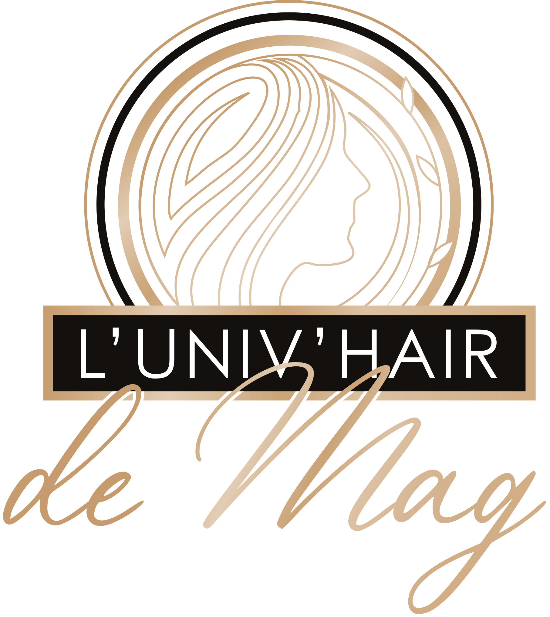 logo univ hair de mag